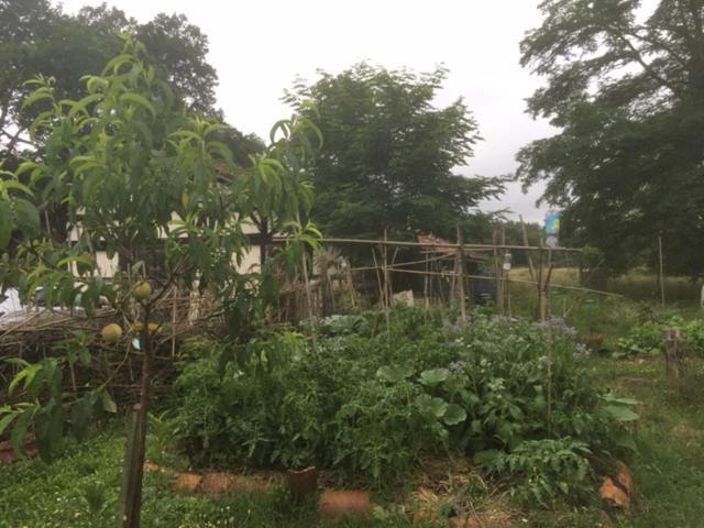 Bed and Breakfast Xibouette Lesgor Екстер'єр фото